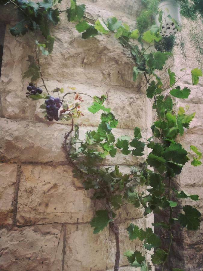 B&B Il Golfo Delle Sirene Bisceglie Kültér fotó